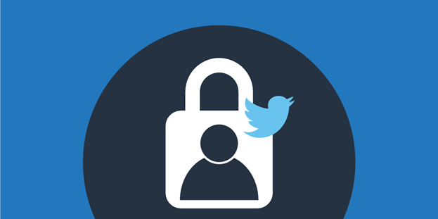 Top Twitter Private Viewer Claims Reviewed: Are They Legit?